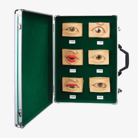 ��Ҋ(ji��n)�۲�ģ��