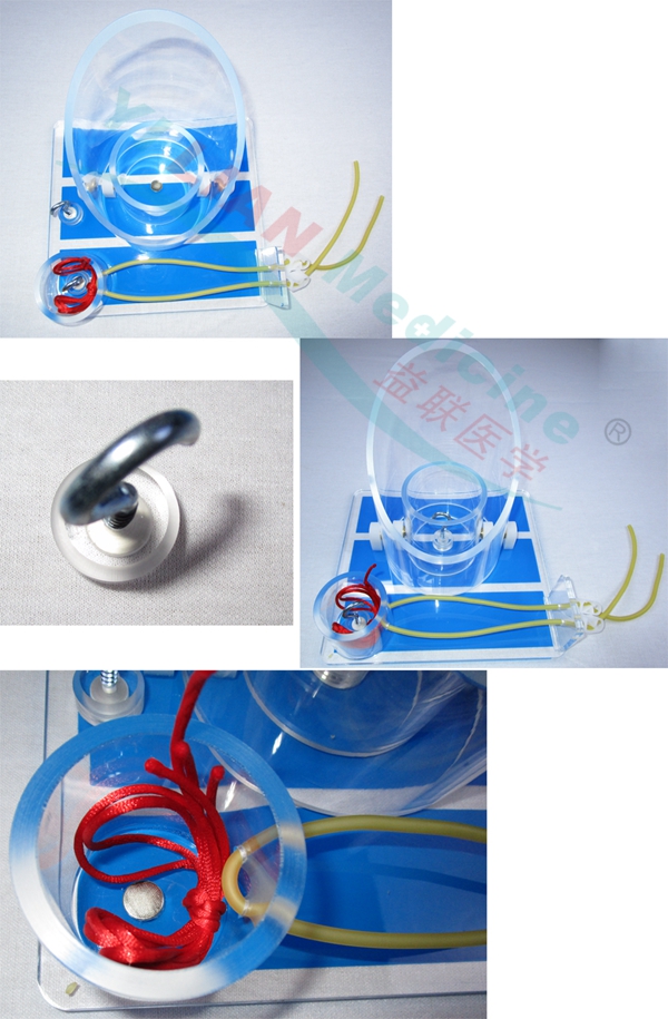 外科打結(jié)技能訓(xùn)練模型