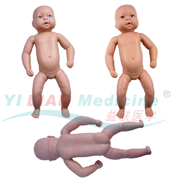 �߼������냺ģ��