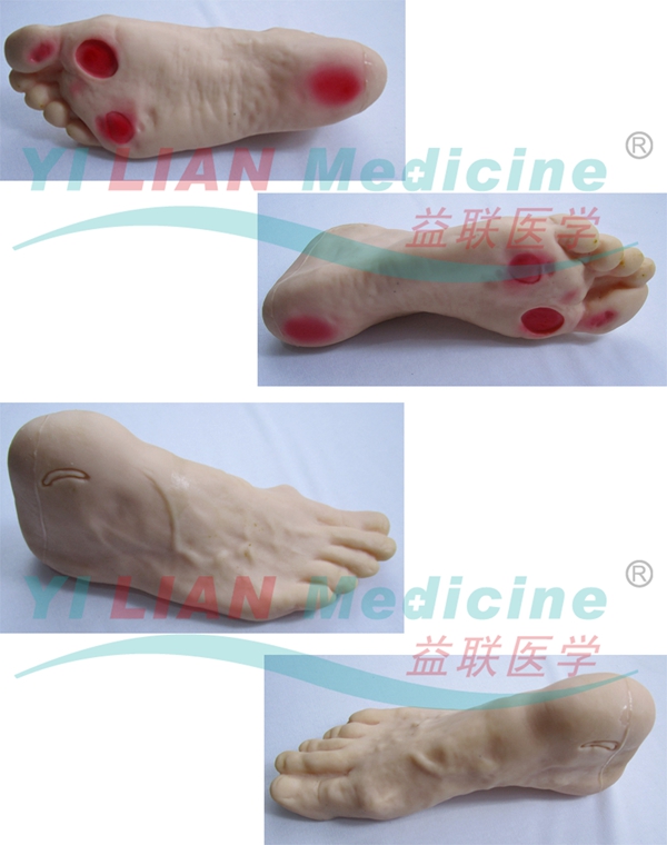 �߼��������o��ģ��