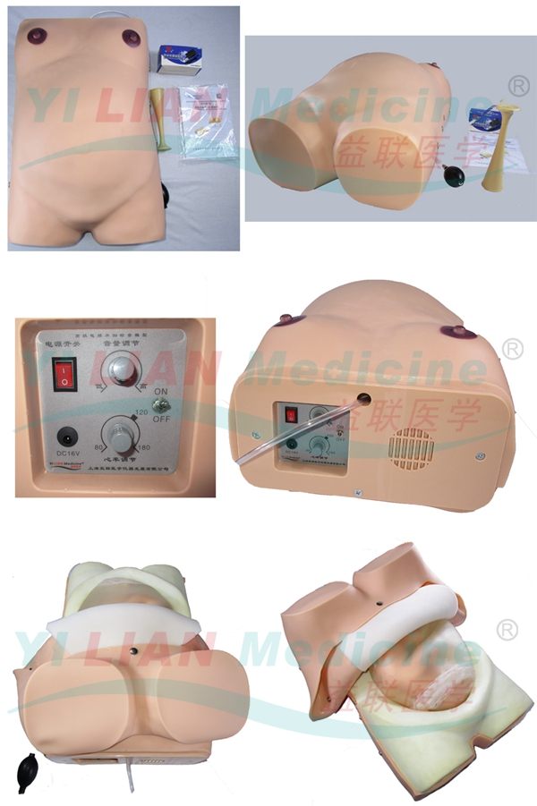 高級電腦孕婦檢查模型