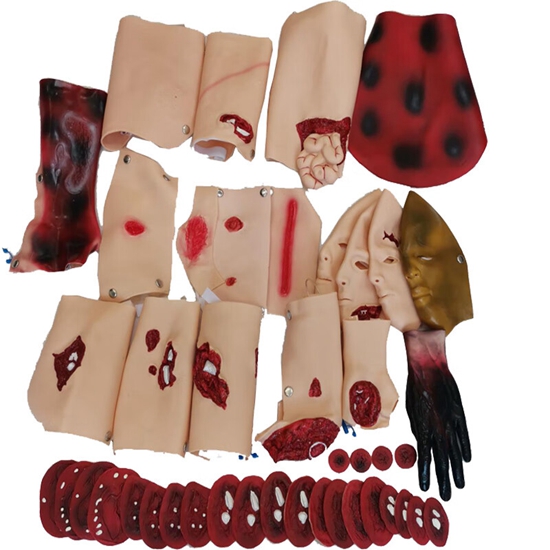 戰(zhàn)場急救創(chuàng)傷護理技術綜合訓練模擬人