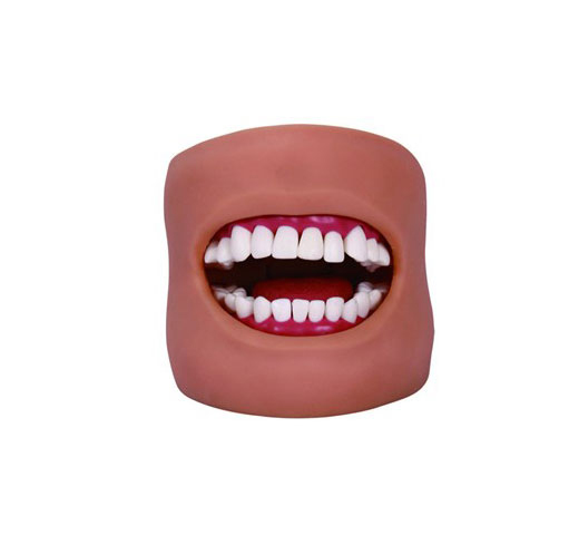 ��ǻ�坍ģ��