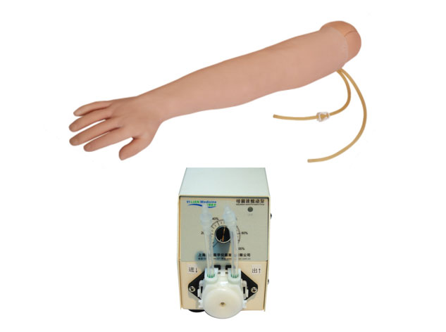 全功能靜脈穿刺輸液手臂模型(電子血液循環(huán)裝置)