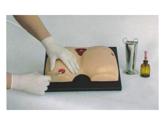 褥瘡護(hù)理仿真模型