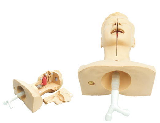 高級(jí)吸痰模型