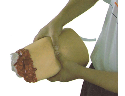 下肢斷肢止血模型