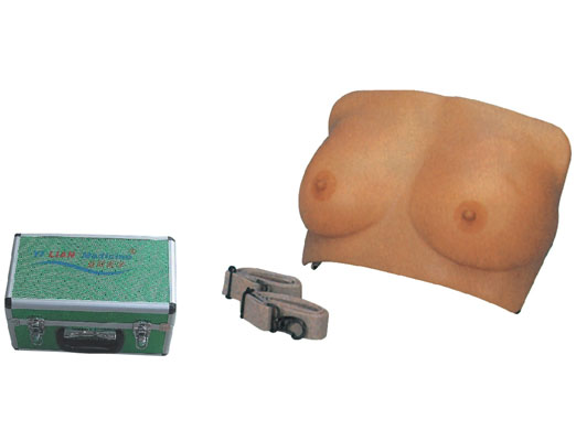 高級乳房檢查模型