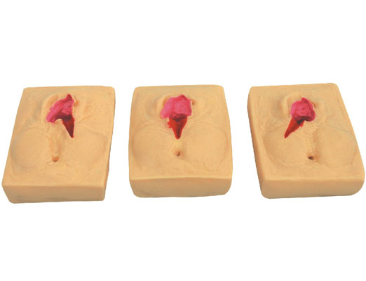 硅膠會(huì)陰切開(kāi)縫合練習(xí)模型