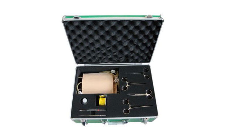 表面血管結(jié)扎止血模型