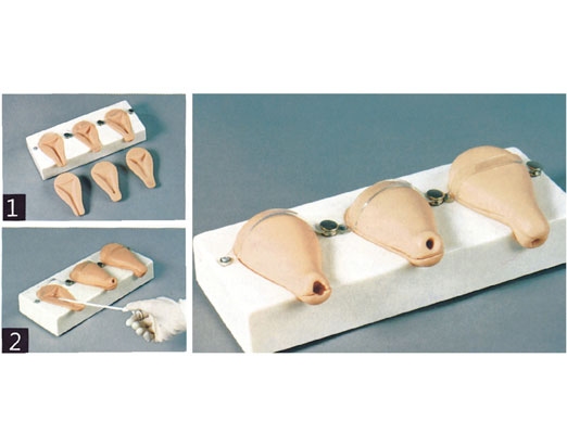 人工流產(chǎn)模擬子宮