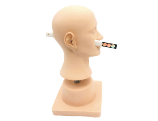 高級耳診斷模型