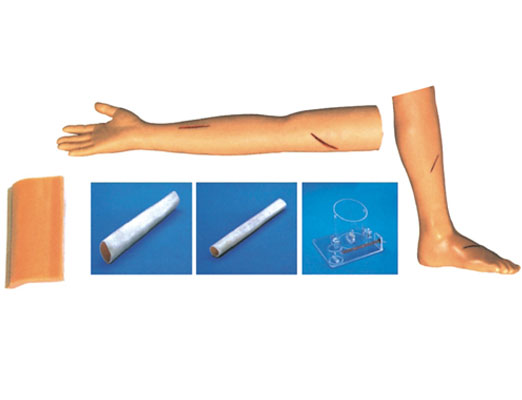 外科綜合技能訓練組合模型