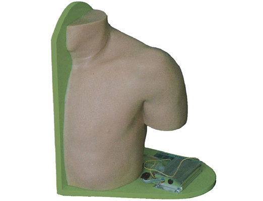 肩關(guān)節(jié)腔內(nèi)注射模型