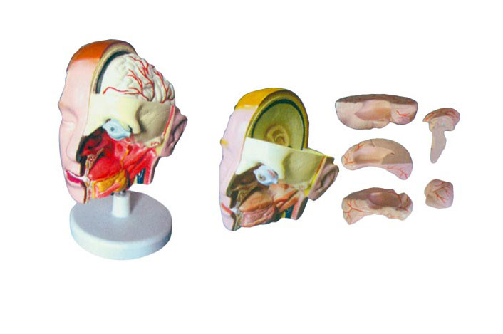 �^���ʸ��Xģ�ͣ�6������