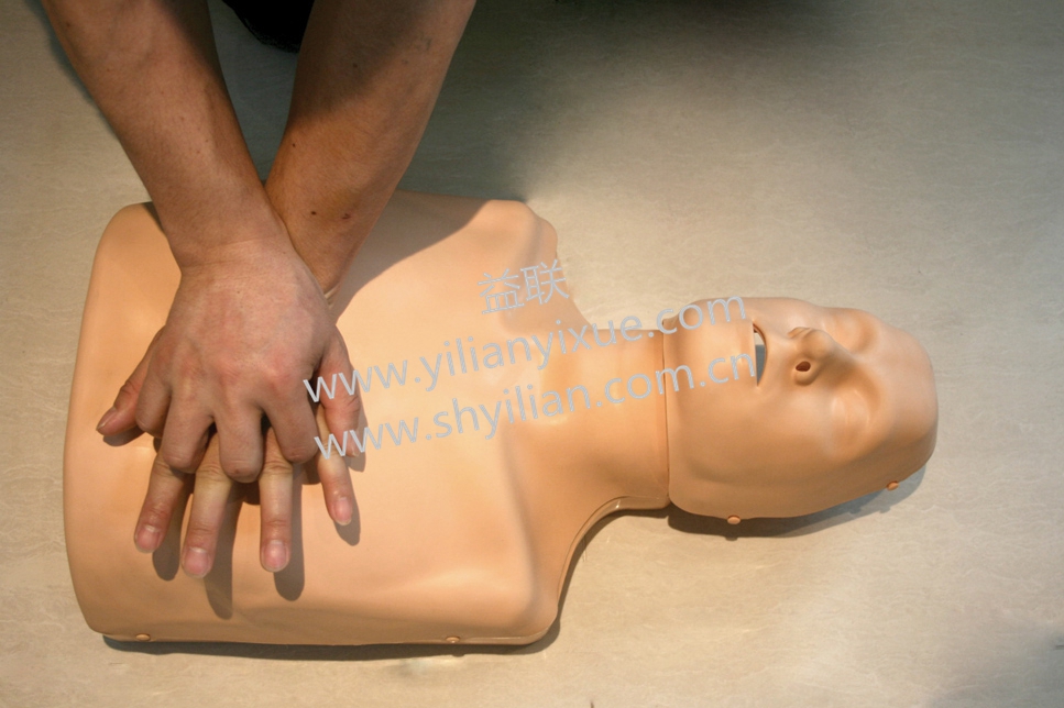 可調(diào)式成人與兒童心肺復(fù)蘇模擬人