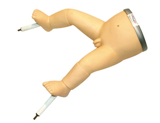 骨髓穿刺訓練模型