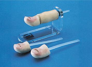 拔甲術(shù)訓(xùn)練仿真模型