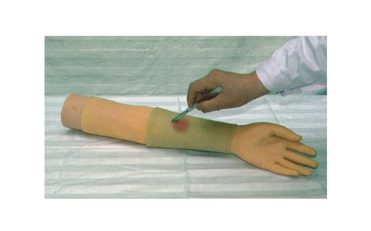 ��֫ē�[���_����ģ��