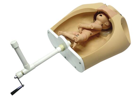 手搖分娩機(jī)制示教模型