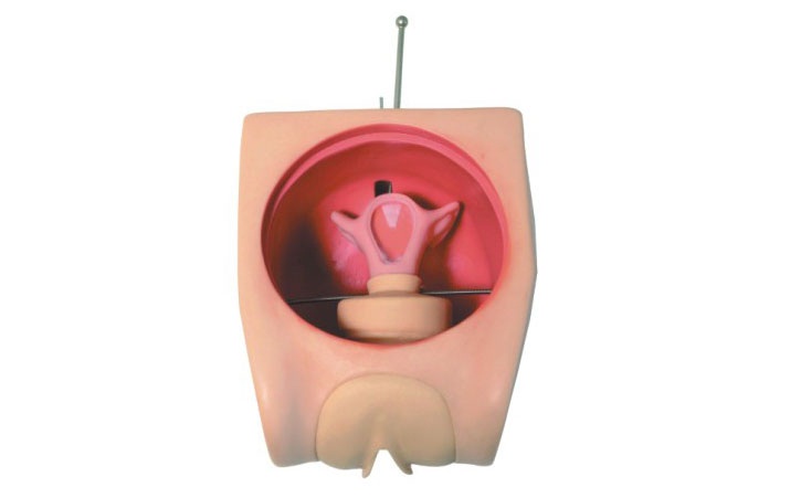 計(jì)劃生育教育模型