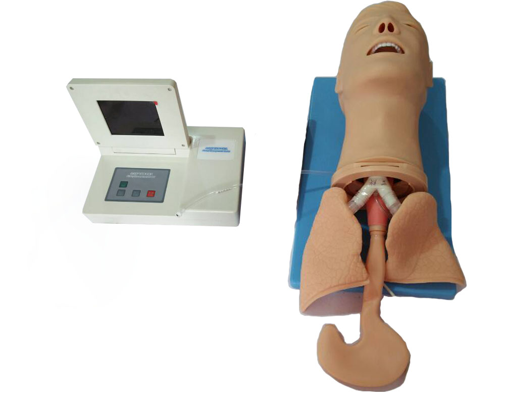 全功能氣道管理模型