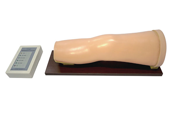 高級(jí)電子膝關(guān)節(jié)腔內(nèi)注射模型