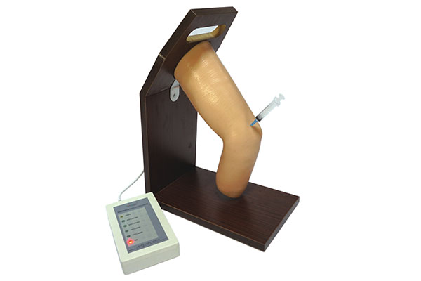 肘關節(jié)腔內(nèi)注射模型