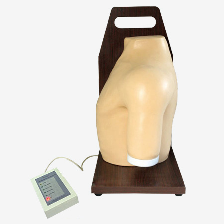 電子肩關(guān)節(jié)腔內(nèi)注射模型