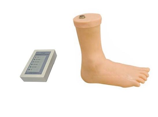 踝關(guān)節(jié)注射模型