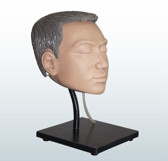 上頜竇穿刺術(shù)訓(xùn)練模型