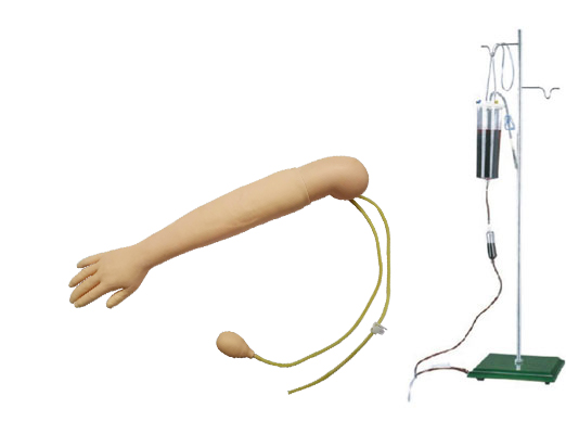 手臂動脈穿刺及肌肉注射訓練模型