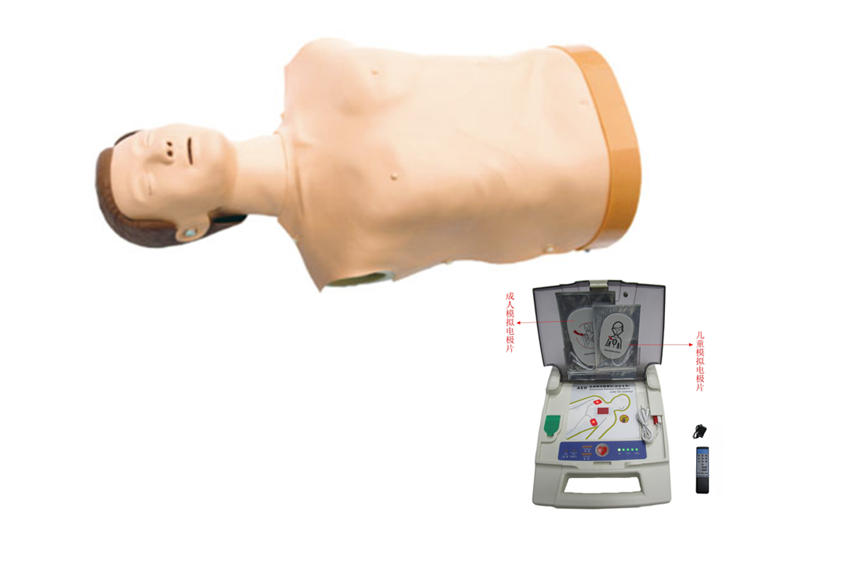 自動(dòng)體外模擬除顫與CPR模擬人訓(xùn)練組合