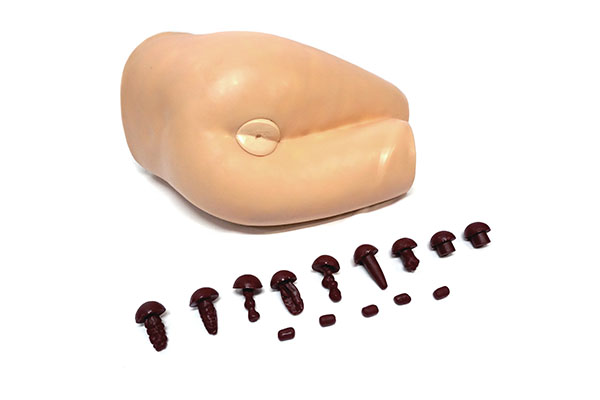 直腸檢查操作模型